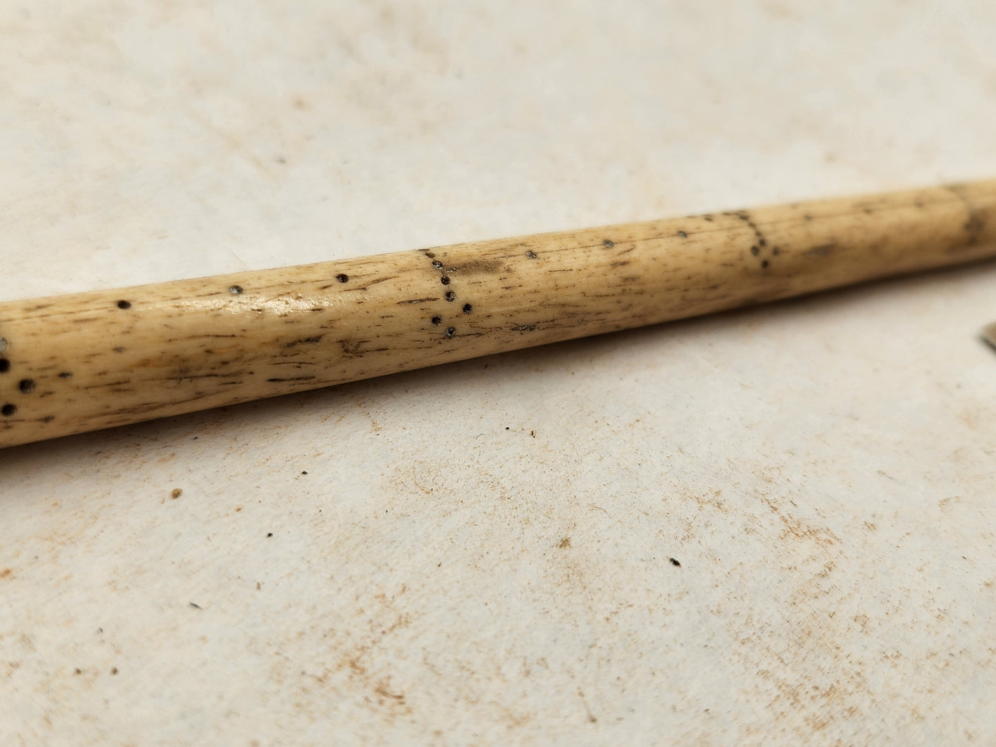 Bone scale